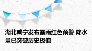 湖北咸宁发布暴雨红色预警 降水量已突破历史极值