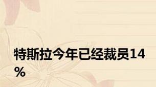 特斯拉今年已经裁员14%