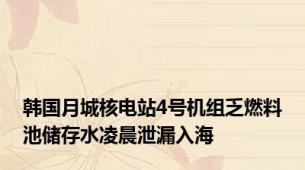 韩国月城核电站4号机组乏燃料池储存水凌晨泄漏入海