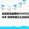 县城管局被曝拖欠600万设计费3年多 局领导建议企业起诉