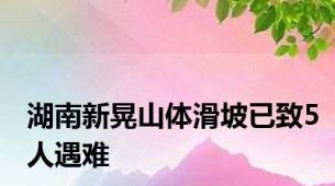 湖南新晃山体滑坡已致5人遇难