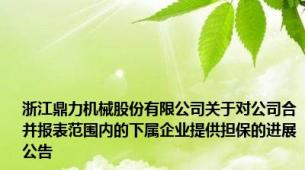 浙江鼎力机械股份有限公司关于对公司合并报表范围内的下属企业提供担保的进展公告