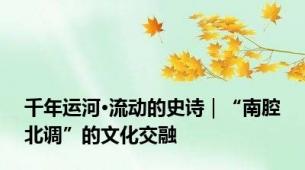 千年运河·流动的史诗｜“南腔北调”的文化交融