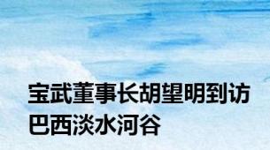 宝武董事长胡望明到访巴西淡水河谷