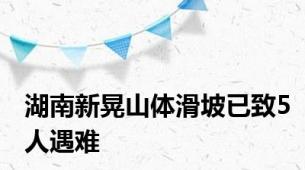 湖南新晃山体滑坡已致5人遇难