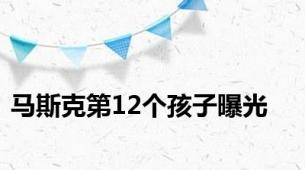 马斯克第12个孩子曝光