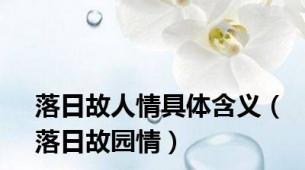 落日故人情具体含义（落日故园情）