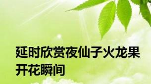 延时欣赏夜仙子火龙果开花瞬间