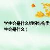 学生会是什么组织结构类型（学生会是什么）