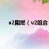 v2阻燃（v2组合）