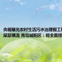 央视曝光农村生活污水治理假工程致街巷屎尿横流 青岛城阳区：将全面排查