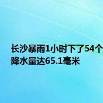 长沙暴雨1小时下了54个西湖：降水量达65.1毫米