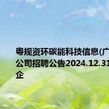 粤规资环碳能科技信息(广东)有限公司招聘公告2024.12.31截止 国企