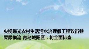 央视曝光农村生活污水治理假工程致街巷屎尿横流 青岛城阳区：将全面排查