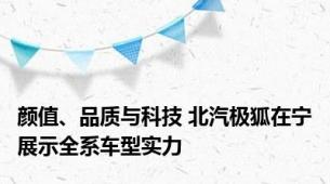 颜值、品质与科技 北汽极狐在宁展示全系车型实力