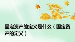 固定资产的定义是什么（固定资产的定义）