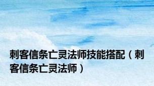 刺客信条亡灵法师技能搭配（刺客信条亡灵法师）