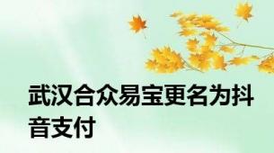 武汉合众易宝更名为抖音支付