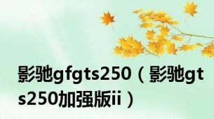 影驰gfgts250（影驰gts250加强版ii）