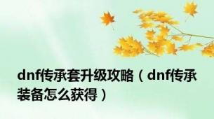 dnf传承套升级攻略（dnf传承装备怎么获得）