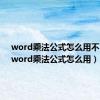 word乘法公式怎么用不了了（word乘法公式怎么用）