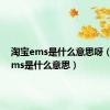 淘宝ems是什么意思呀（淘宝ems是什么意思）