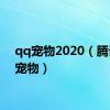 qq宠物2020（腾讯qq宠物）