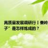 高质量发展调研行丨秦岭“菜篮子”是怎样炼成的？