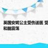 英国安妮公主受伤送医 受了轻伤和脑震荡