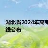 湖北省2024年高考分数线公布！