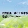 鼎龙股份：预计上半年净利同比增长110%-130%