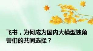 飞书，为何成为国内大模型独角兽们的共同选择？