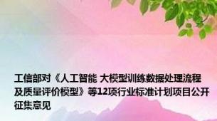 工信部对《人工智能 大模型训练数据处理流程及质量评价模型》等12项行业标准计划项目公开征集意见