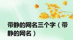 带静的网名三个字（带静的网名）