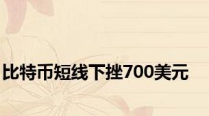 比特币短线下挫700美元