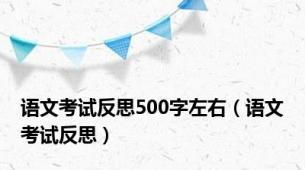 语文考试反思500字左右（语文考试反思）