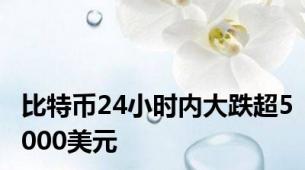 比特币24小时内大跌超5000美元