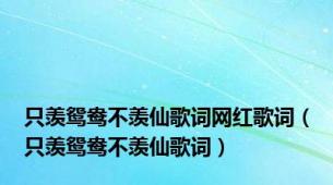 只羡鸳鸯不羡仙歌词网红歌词（只羡鸳鸯不羡仙歌词）