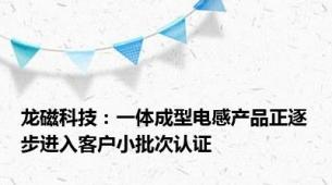 龙磁科技：一体成型电感产品正逐步进入客户小批次认证