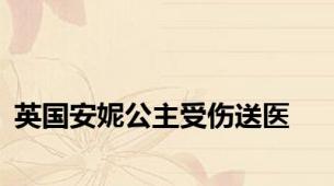 英国安妮公主受伤送医