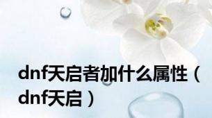 dnf天启者加什么属性（dnf天启）