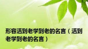 形容活到老学到老的名言（活到老学到老的名言）