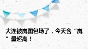 大连被岚图包场了，今天含“岚”量超高！