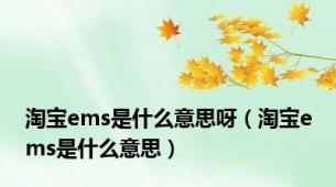 淘宝ems是什么意思呀（淘宝ems是什么意思）