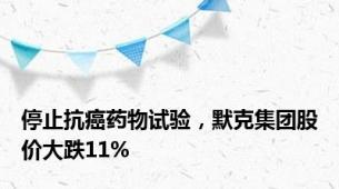 停止抗癌药物试验，默克集团股价大跌11%