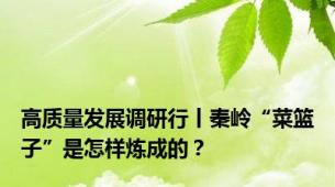 高质量发展调研行丨秦岭“菜篮子”是怎样炼成的？