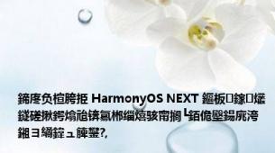 鍗庝负楦胯挋 HarmonyOS NEXT 鏂板鎵爜鐩磋揪鍔熻兘锛氱郴缁熺骇甯搁┗銆佹壂鍚庣洿鎺ヨ繘鍏ュ簲鐢?,