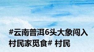 #云南普洱6头大象闯入村民家觅食# 村民