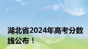 湖北省2024年高考分数线公布！