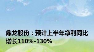 鼎龙股份：预计上半年净利同比增长110%-130%